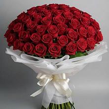 Букет 101 Красная роза Блэк Мэджик #REPLACE_PRED# Белинском