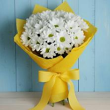 Букет цветов из:  Хризантемы в Белинском