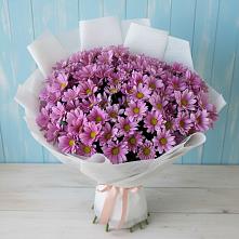 Букет цветов из:  Хризантемы #REPLACE_PRED# Белинском