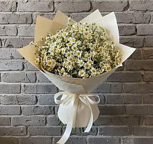 Букет цветов из:  Ромашки #REPLACE_PRED# Белинском