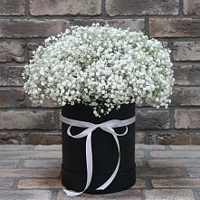 Цветочная композиция из Гипсофила в шляпной коробке в Белинском