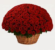 Премиум букет из: Розы в Белинском